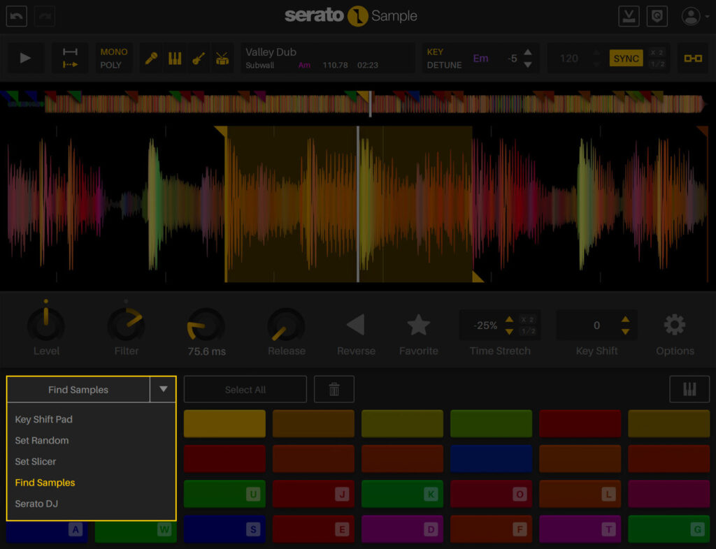 Capture Serato Sample